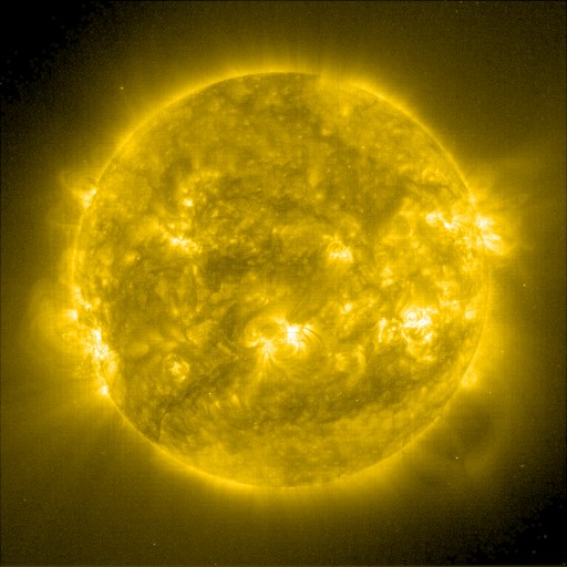 SON_000_VISIBLE_EGG_CELL_AS_NEGATIVE_IMAGE_1.jpg (62955 bytes)