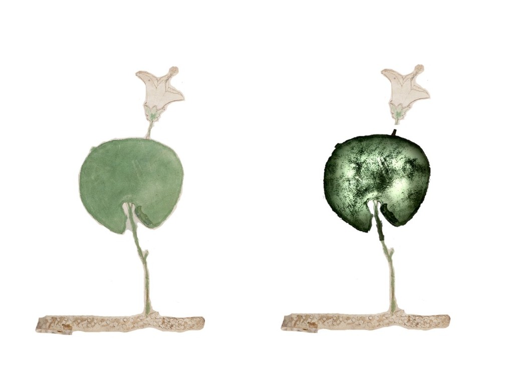 AS IS IN VOYNICH MANUSCRIPT.     KAO STO JE SADA U VOYNICH RUKOPISU.