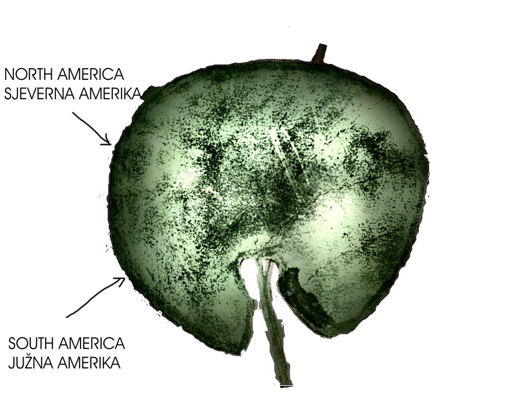 AS_IS_IN_VOYNICH_MANUSCRIPT_NORTH_SOUTH_AMERICA.jpg (168292 bytes)