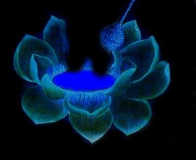 Rudolf_Bosnjak_discovery_LOTOS_FLOWER_NEGATIVE.jpg (17824 bytes)
