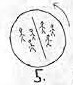 5.jpg (3034 bytes)