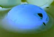 RAW EGG NEGATIVE