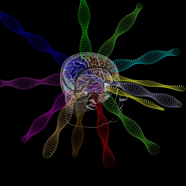 HEAD_RADIATION