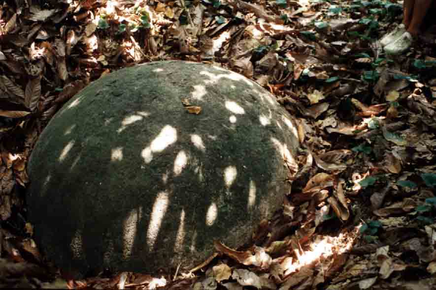 Stone_Ball_situ_Under_Cacao_Trees.jpg (46911 bytes)