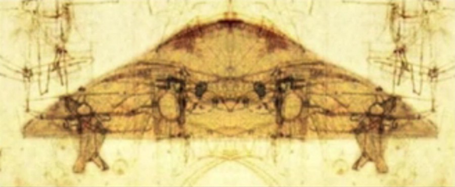 leonardo_ufo_wing.jpg (58451 bytes)