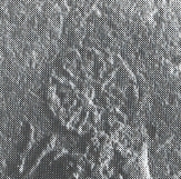 storm_god_Hadad_cvijet.jpg (37916 bytes)
