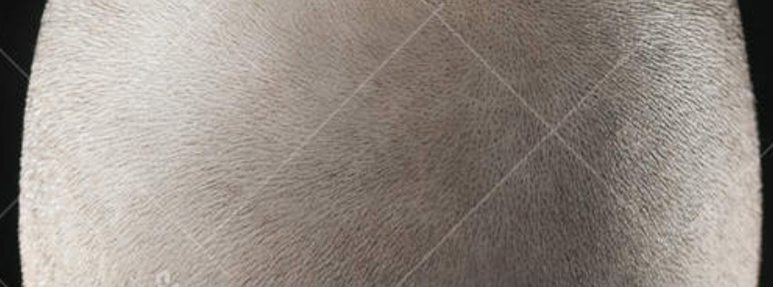 SHORT CUT HAIR AS HIGH GAIN ANTENNA ARRAYS.