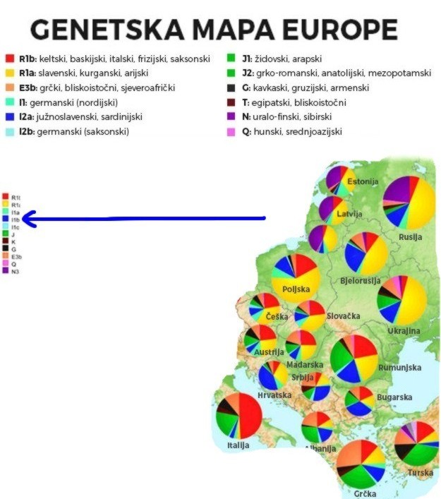 GENETSKA MAPA EVROPE SLAVENI.