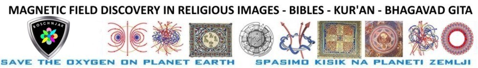 MAGNETIC FIELD DISCOVERY