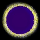 prolaz10.jpg (4856 bytes)