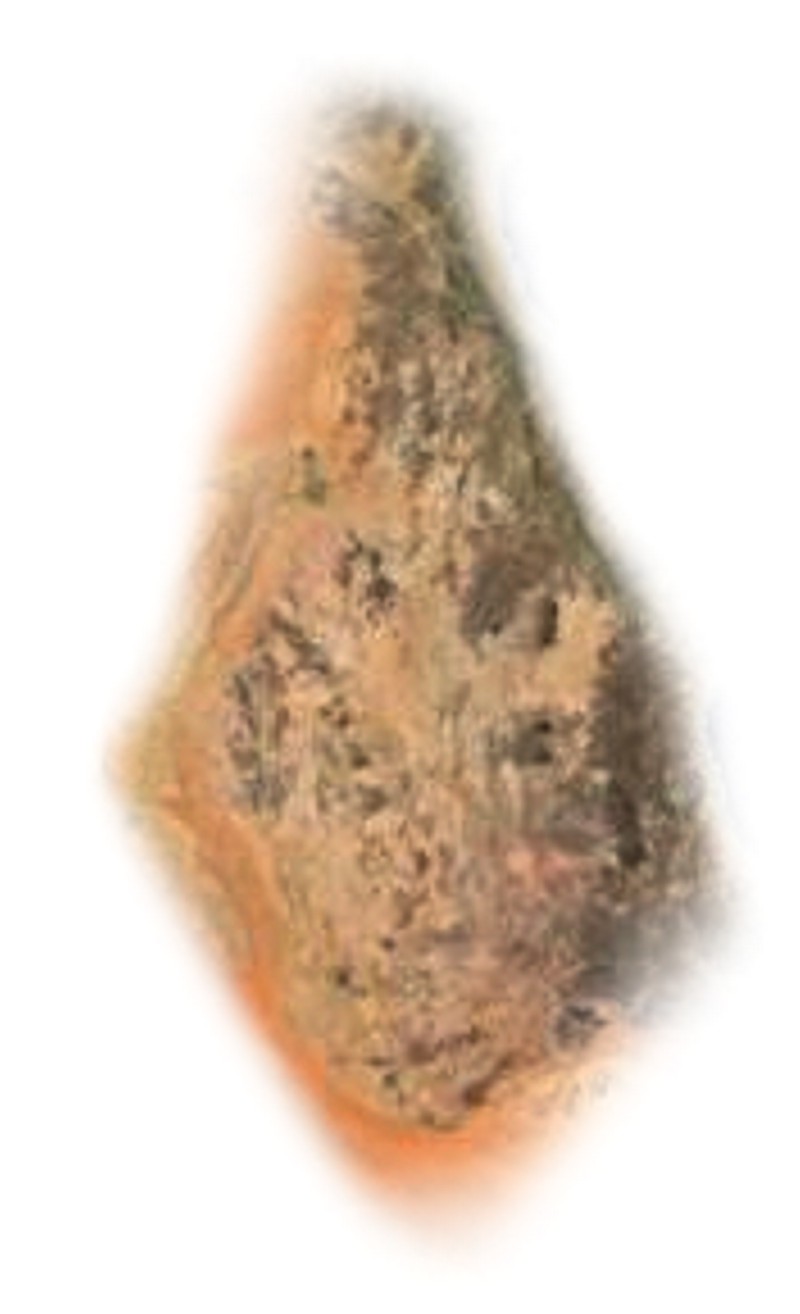 PLANET ZEMLJA SLIKA OBLIK MAGNETSKOG LICA SUADIA_ARABIA