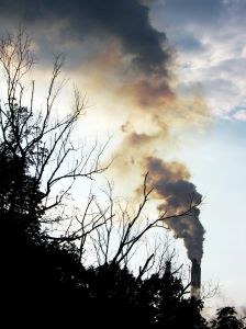 ZAGADJENJE_ZRAKA1.jpg (15910 bytes)