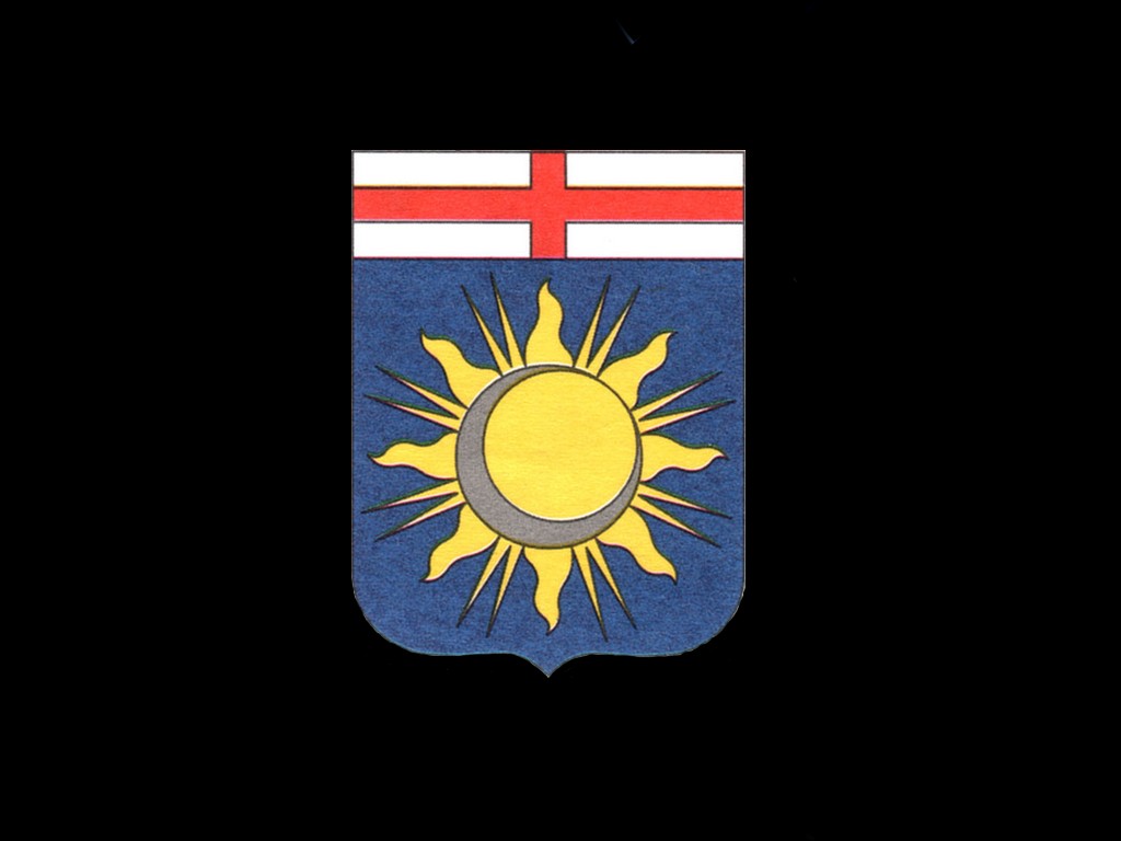 CITY OF MILAN COAT OF ARMS AS HIDDEN SECRET.