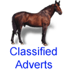 Classifieds_button.gif (4256 bytes)
