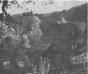 Lazar_Drljaca_koliba.jpg (23492 bytes)