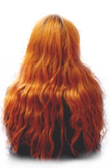 ZLATOKOSA.jpg (21457 bytes)