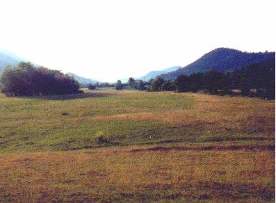 golf.jpg (24218 bytes)
