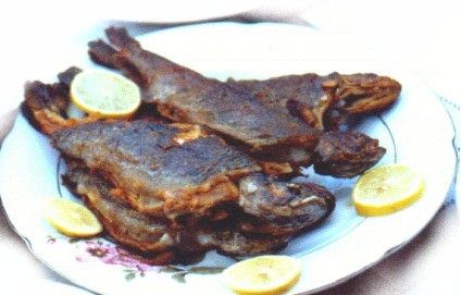 Svjeza riba pastrmka, pripremljena za goste, dodjite probajte.