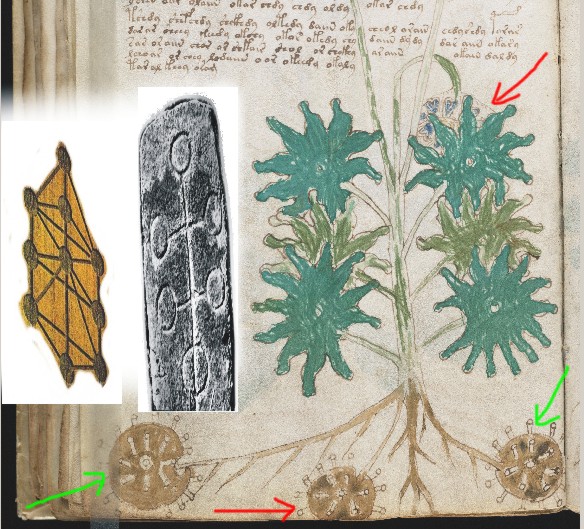 AS_IS_IN_VOYNICH_MANUSCRIPT_NORTH_SOUTH_POLE_MOVEMENTE.jpg (135090 bytes)