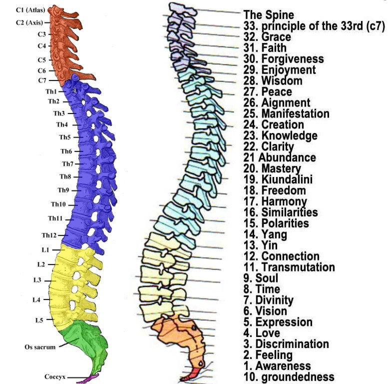 USPOREDITE EPITROHOIDNI VERTEBRALNI STUP.