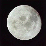 EGG MOON