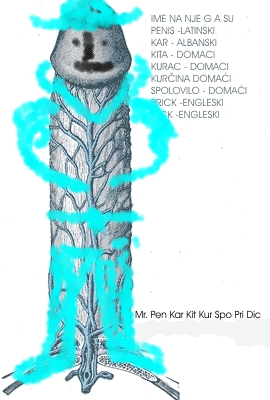 NJEGOVO SVE TO ST - OS KAR