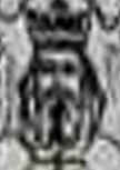 lice_kralja_tvrtka.jpg (2731 bytes)