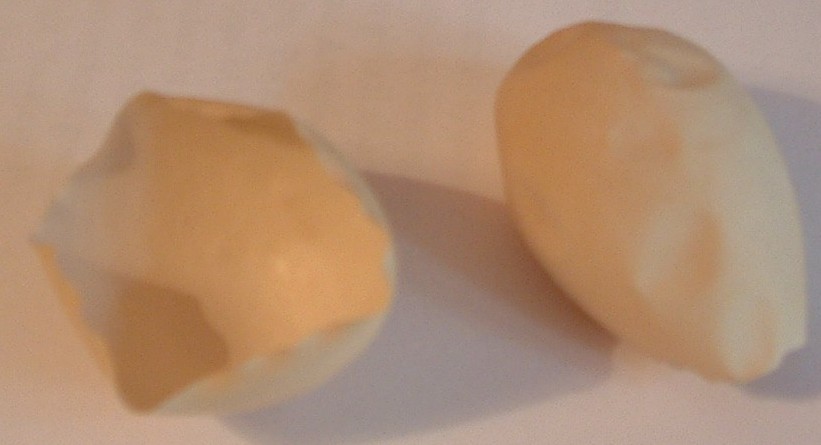 DRY EGG CHICKEN OUTER SHELL MEMBRANE