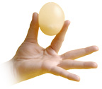 MAKING NAKED EGG CHICKEN WITHOUT CARBON SHELL MEMBRANE