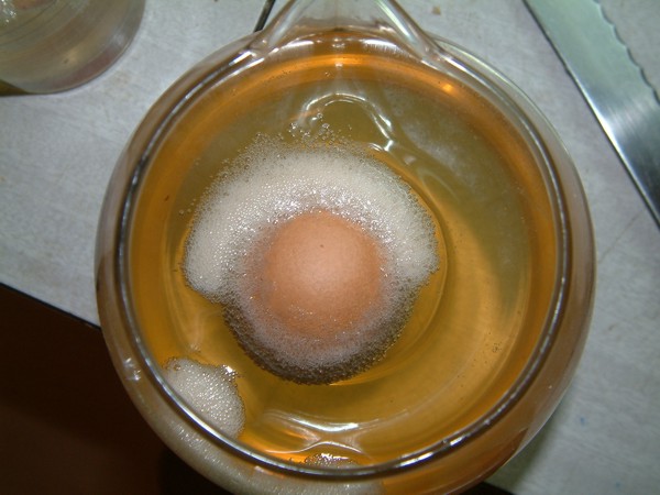 EGG CHICKEN IN VINEGER WITH AIR BUBBLES
