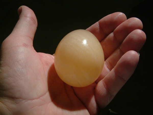 EGG CHICKEN WITH OUTER MEMBRANE ONLY