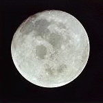 EGG_MOON.gif (14322 bytes)