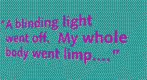 Quote: A blinding light went off.  My whole body went limp...