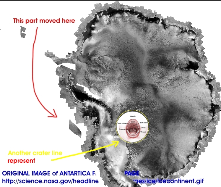 icecontinent_FACE8.jpg (330092 bytes)