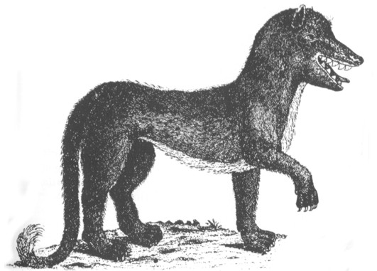 ALIEN _WILD_BEAST.jpg (47736 bytes)