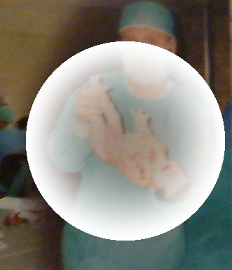 where this sphera disapear1.jpg (23961 bytes)