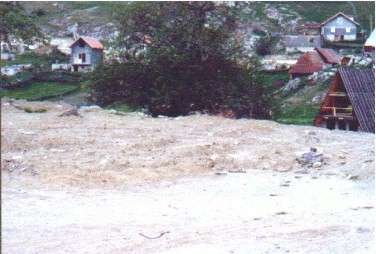 14.jpg (16187 bytes)