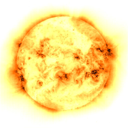 SON_000_VISIBLE_EGG_CELL_AS_POSITIVE_IMAGE.jpg (44773 bytes)