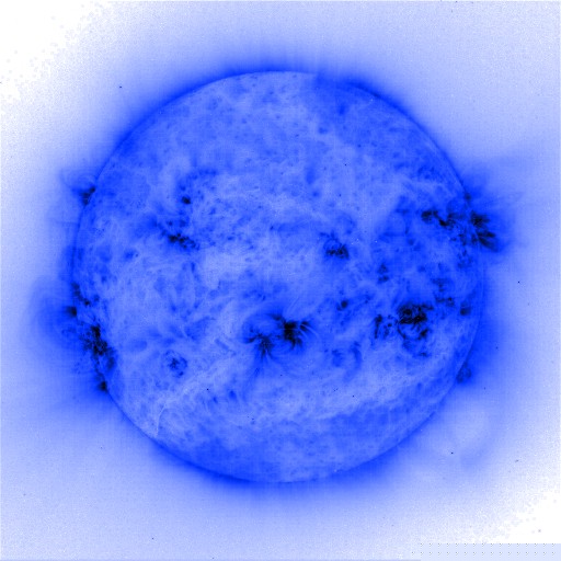 SON_000_VISIBLE_EGG_CELL_AS_POSITIVE_IMAGE_1.jpg (62945 bytes)