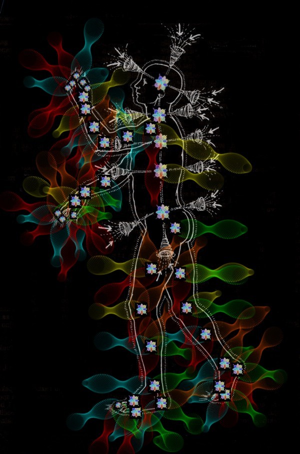Rudolf_Bosnjak_discovery_CHAKRA_SRZ_SYSTEM_MORE_EXPLANATION_negative.jpg (121353 bytes)