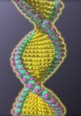 DNA_science_vertical.jpg (7580 bytes)