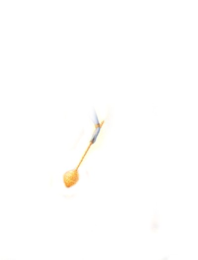 Rudolf_Bosnjak_discovery_LOTOS_SPERMATOZOID_FULL_45_LEFT.jpg (5909 bytes)