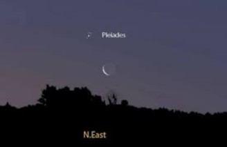 PLEADES.jpg (5033 bytes)