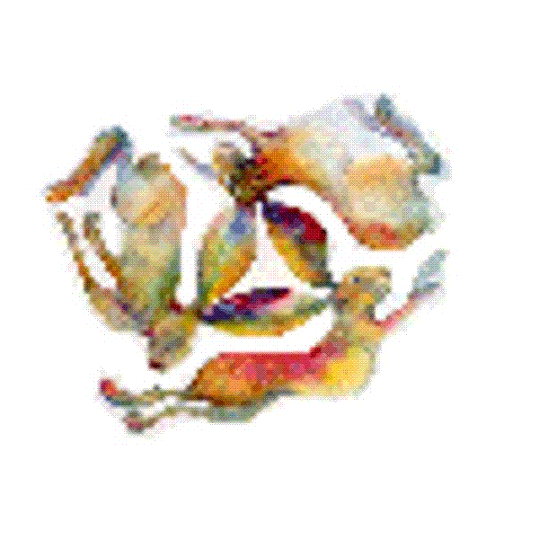 THREE HARES IMAGE AS AC INDUCTION MOTOR IN ROTATION.
