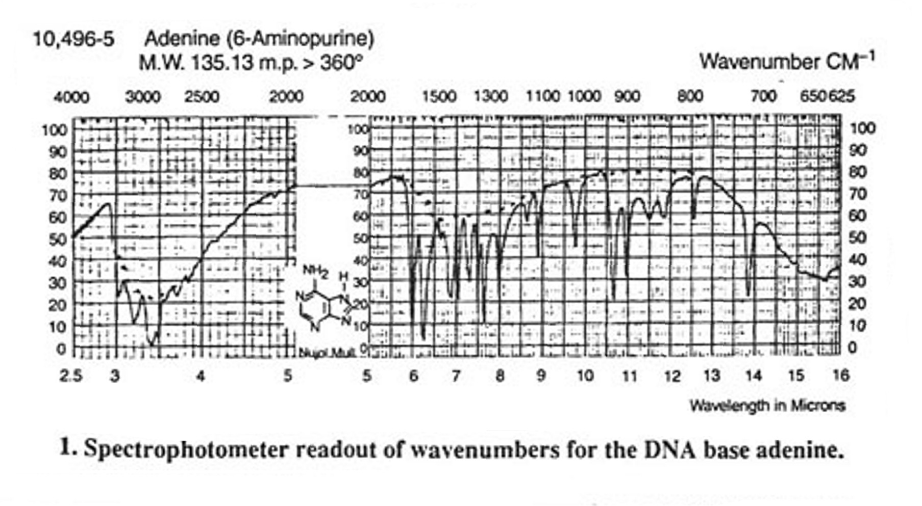 FIG1.jpg (282557 bytes)