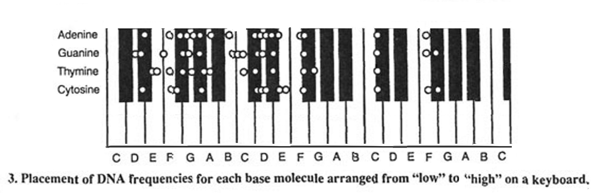 FIG3.jpg (151485 bytes)