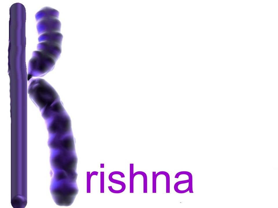 X_chromosome_Krishna.