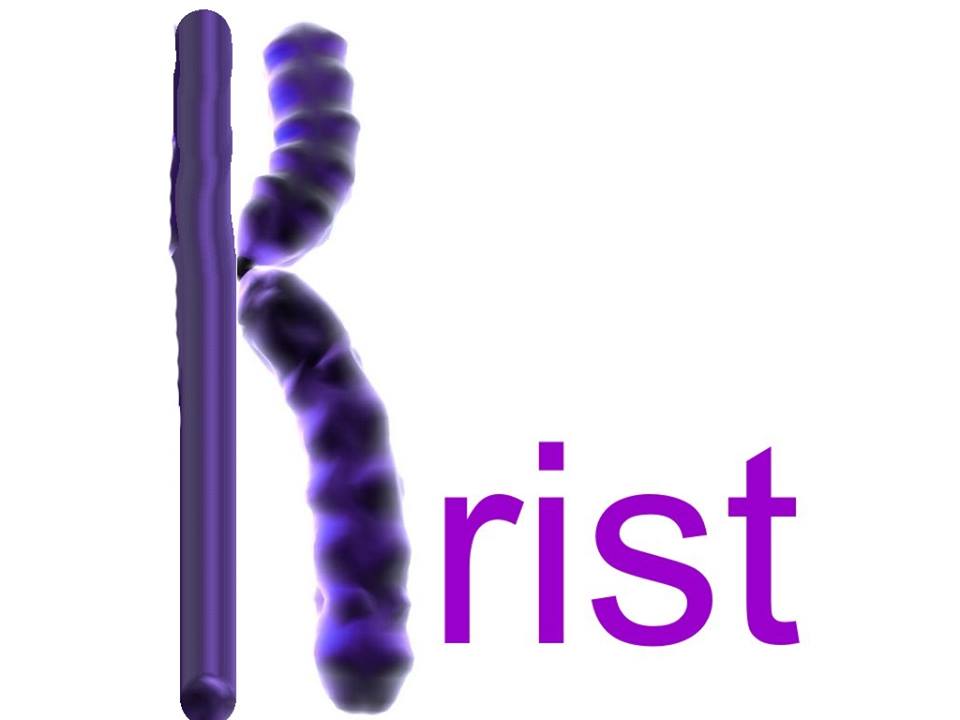 X_chromosome_Krist.