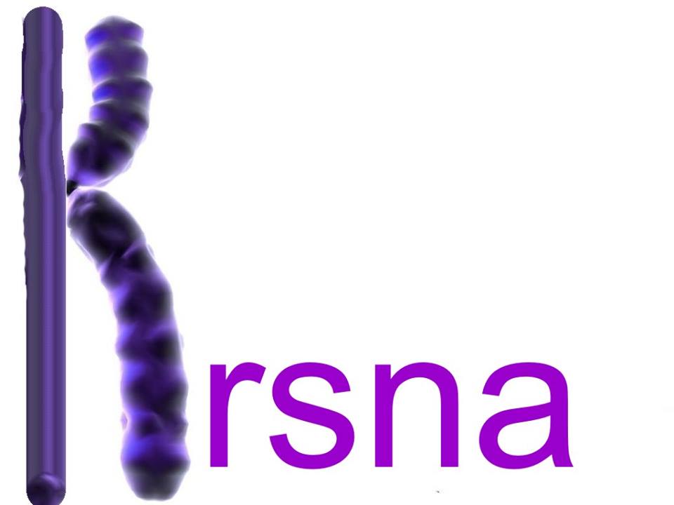 X_chromosome_Krsna.