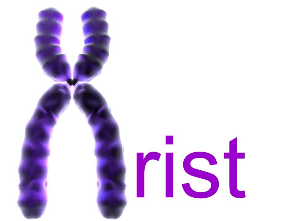 X_chromosome_Xrist.
